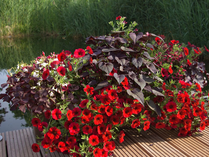 Combination rouge sur le balcon.