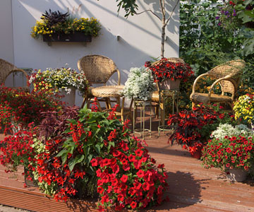 Ideen für Ihre Garten-Gestaltung in rot