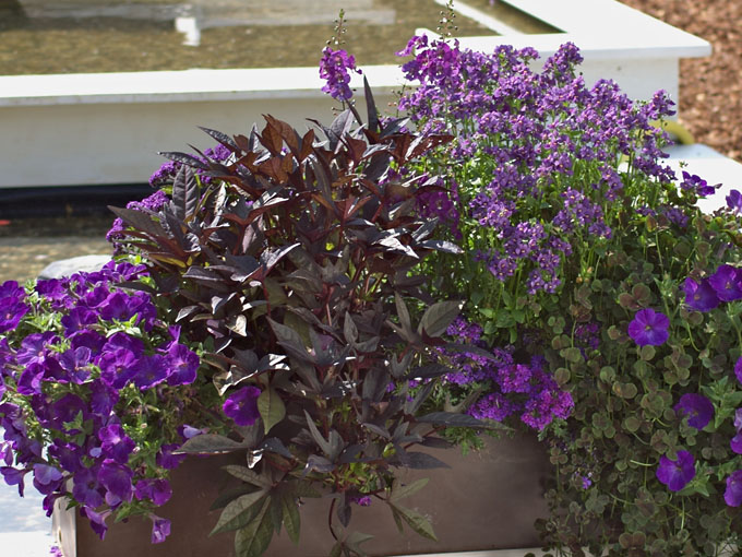 Combination bleu et noir sur le balcon