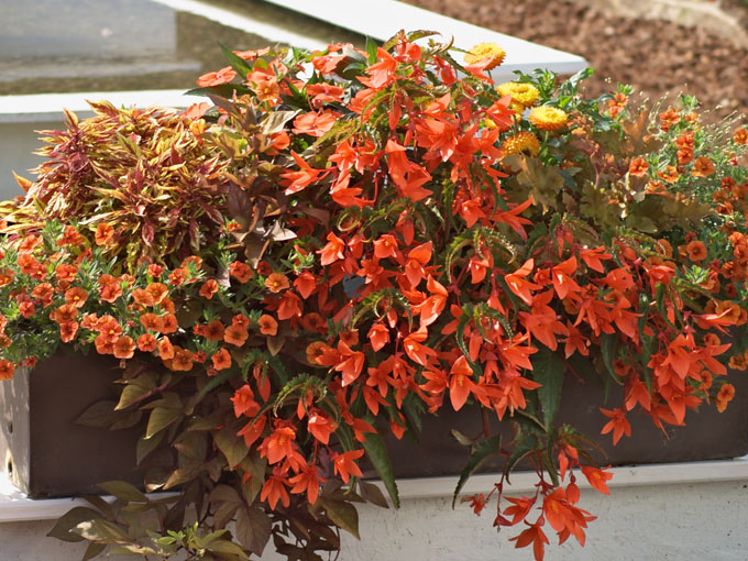 Combination orange sur le balcon