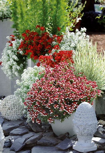 Terrasse en rouge et blanc