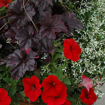 Terrasse en rouge