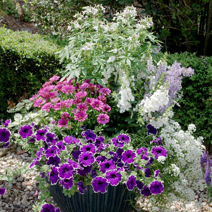 Ideen für Blumenkübel auf der Terrasse