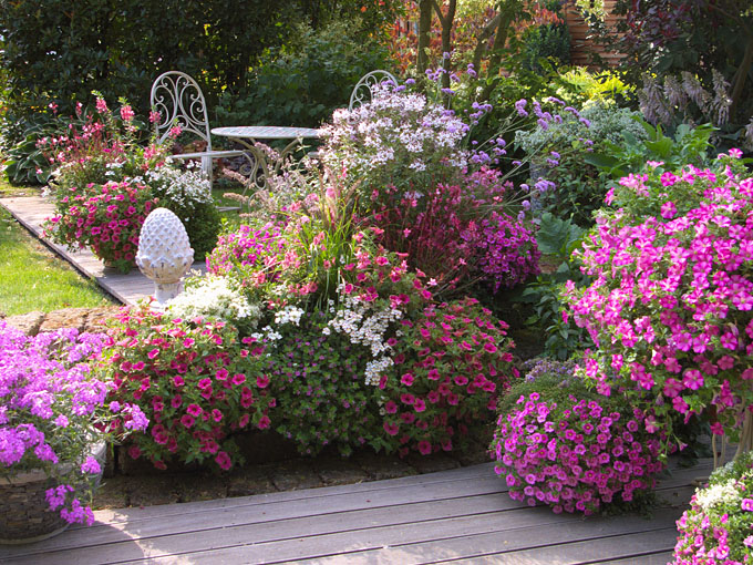 Terrassengestaltung mit pinken Blumen und Pflanzen